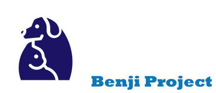 CDRS Benji Project