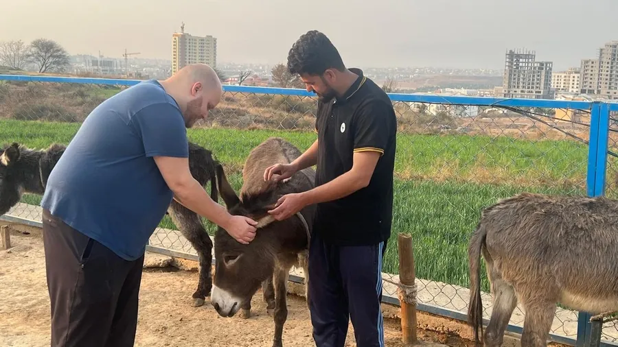 The CDRS Benji team caring for animals