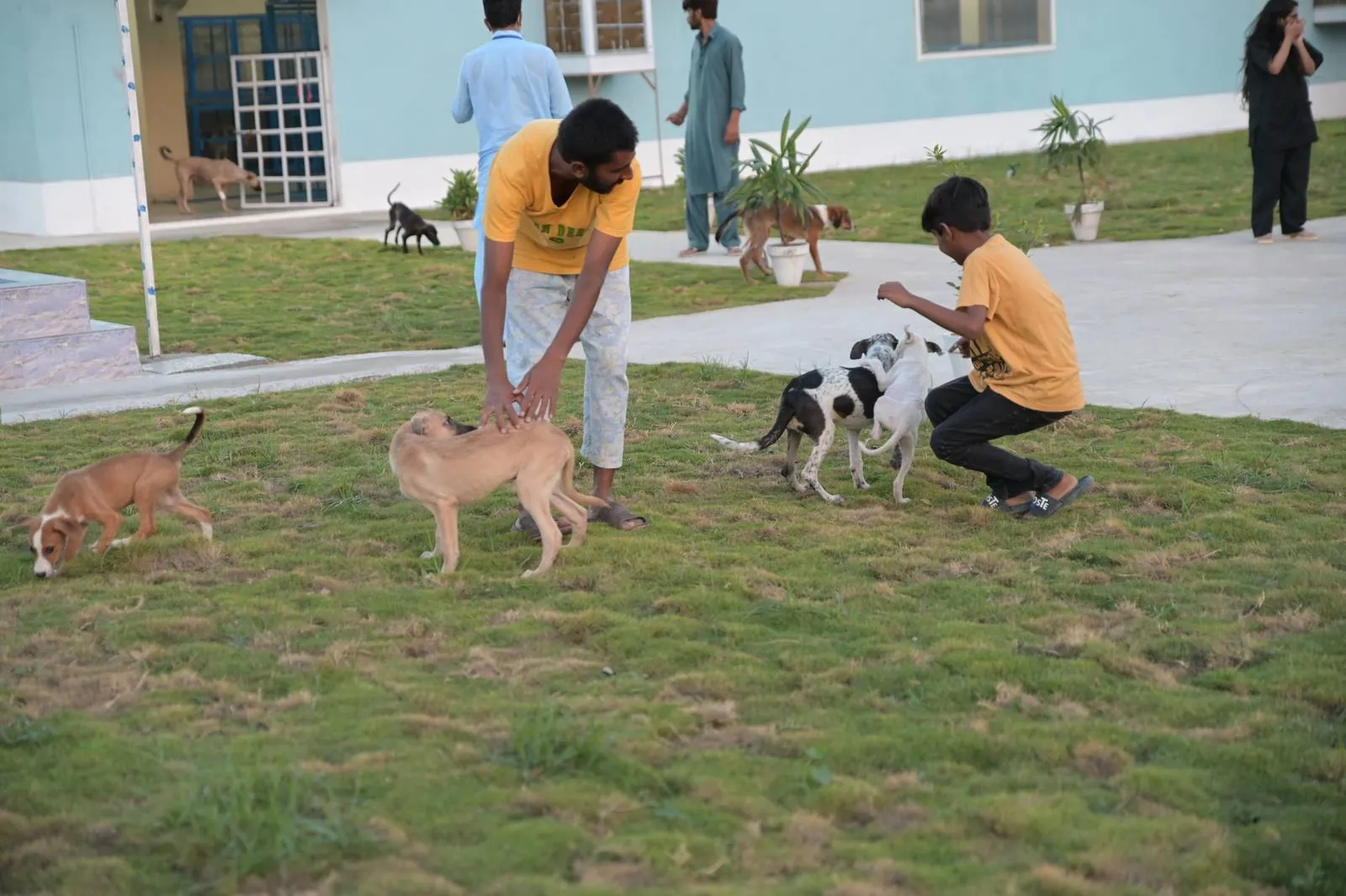 The CDRS Benji team caring for animals