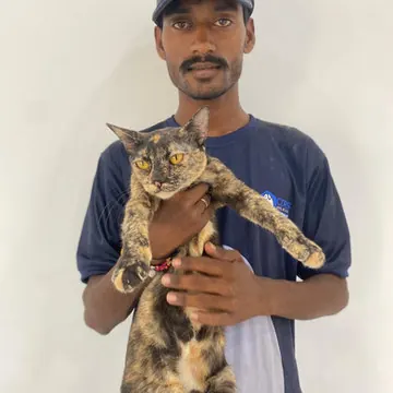 Ramchand